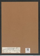 Aulacodiscus grunowii var. subsquamosa Pant. (de-Toni-Nr.: Genus 182, Species 4555) Zeichnungen Sammlung Grunow Mappe 04482 (Herbarium_W_Grunow_drawings_Folder_04482)